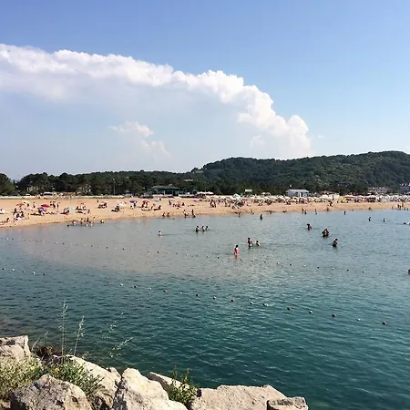 Hotel Piassa 3*