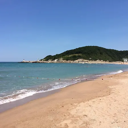 Piassa 3* Ağva